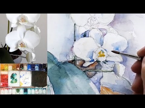 FIORI BIANCHI IN ACQUERELLO : ORCHIDEA BIANCA
