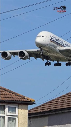 Every Single Detail In Focus!😳 Singapore Airbus A380 🇸🇬✈️👑. #singaporeairlines #airbusa380 #shorts