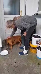 1.2M views · 4.6K reactions | UPDATE NOW POSTED FURTHER UP OUR PAGE....