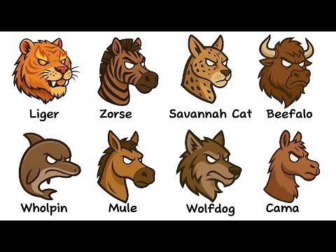 Every Strange Hybrid Animal Explained In 6 Minutes