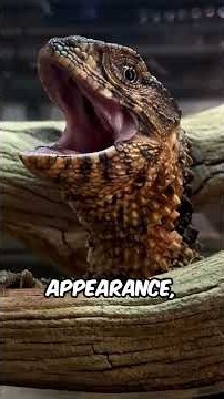 5 RARE Animals You'll ONLY Find in China! #Animals #AnimalFacts