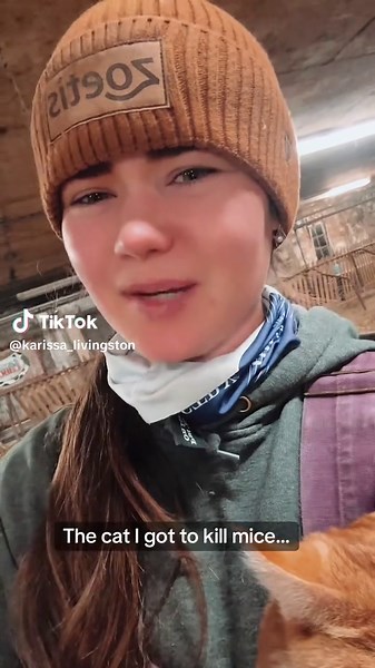 Understanding Cat Behavior: Eating Habits and Activity