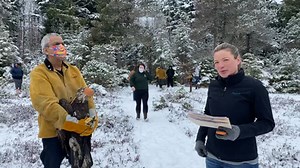 2021 Spring Eagle Releases! The Alaska Raptor Center provides medical treatment to over 200 injured birds each year. Although we specialize in raptors, we will aid any wild bird in need! | Alaska Raptor Center