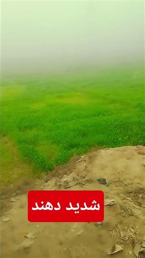 Shadeed Dhund Sardi ki lazat🤔🤔