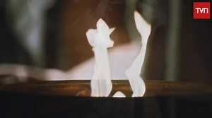 Canal El Libertador on Reels