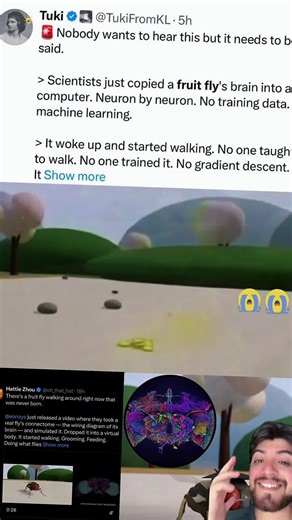 A fly in the matrix... #greenscreenvideo #greenscreen | fly