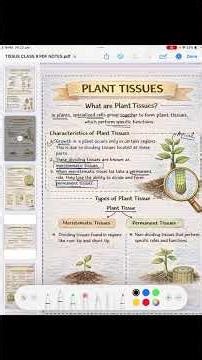 Plant Tissues EXPLAINED Simply 🌱 | Class 9 Boards”