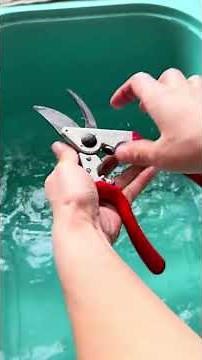 This rust removal trick saves your garden tools #diy #satisfying