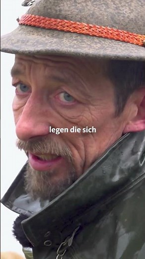 Ein Acker, Schafe und viel Regen - ist das eine gute Kombi? 🐑 | WDR Lokalzeit LandSchafft