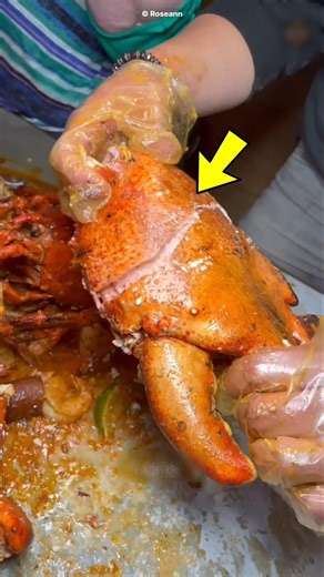 Lobster’s Shocking History Explained 🦞