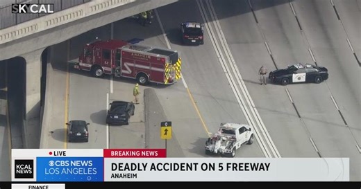 Pedestrian walking on 5 Freeway struck, killed by driver