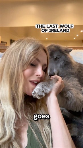 67K views · 5.1K reactions | I flew to Ireland to tell the story of...