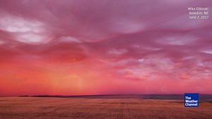 84K views · 1.5K shares | Yes, this is real -- mix undulatus asperatus clouds with a vivid sunset and the result is unbelievably beautiful! | The Weather Channel | Facebook