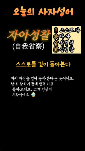 자아성찰(自我省察) 뜻 - 스스로를 깊이 돌아본다 🪞 #사자성어 #shorts