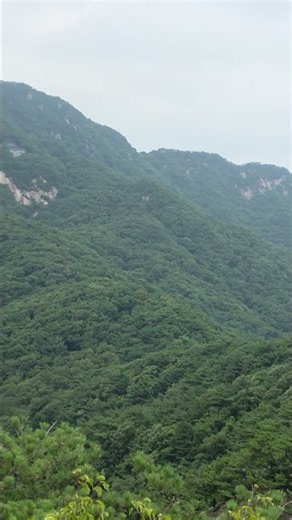 사도행전 22장 15절()"네가 그를 위하여 모든 사람 앞에서 네가 보고 들은 것에 증인이 되리라."