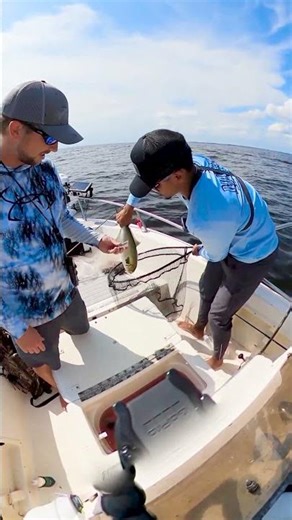 Blue on the popping cork #fishing