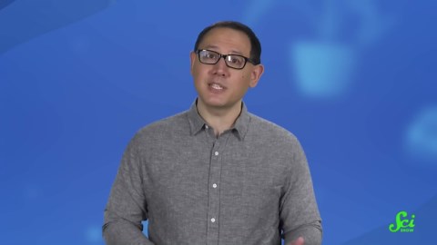 We're probably going to cure MS