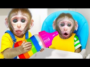 Macaco Rio finge ser um bom irmão e cuida do macaquinho | Animal Monkey Rio