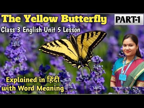 Class 3 English Yellow Butterfly Explanation | Class 3 English Unit 5