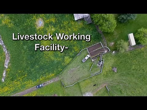 Livestock Working Facility- Site & Design Considerations