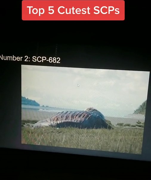 Top 5 cutest SCPs #SCP169 #SCP3002 #SCP012 #SCP999 #SCP682 #SCP001 #Mekhane