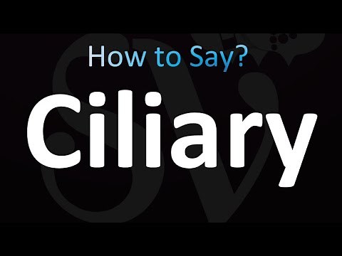 How to Pronounce Ciliary (Correctly!)