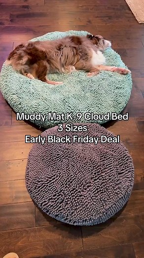 💤 Designed for Ultimate Comfort and Support for your Pets 💤 The All-New Cloud K9 Dog Bed Gives Your Pets the Comfort they Deserve After a Long Day of Tail-Chasing! Available in Sizes Up to Large! Claim Your 70% OFF Today! | Muddy Mat