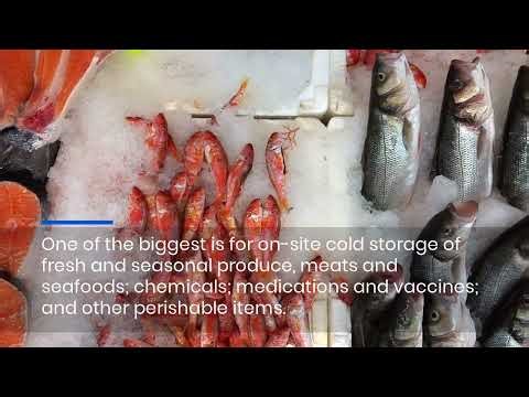 Refrigerated Shipping Containers: Your Seasonal Storage Solution?