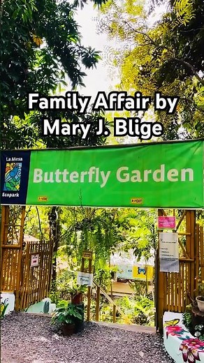 Family Affair by Mary J. Blige (2001)#maryjblige