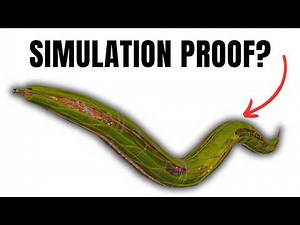 Does This Worm Prove We're In a Computer Simulation? 🤯