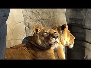 Selected Verses - Surah 26 (Ash-Shu'ara) - Verses 3-7