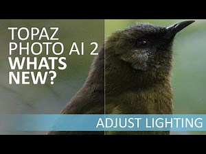 Adjust Lighting in Topaz Photo AI 2