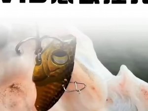 VIB保姆级使用教程