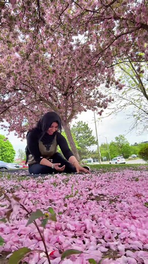 Experience the Beauty of Spring in Canada
