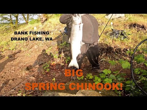 Drano Lake Salmon Fishing 2022 - Bank Fishing for Spring Chinook (Springers)