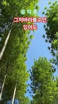 *가요* 그저바라볼수만있어도 ㅡ유익종 #국내발라드모음 #가요 #music #노래 #추억 #올드팝 #7080
