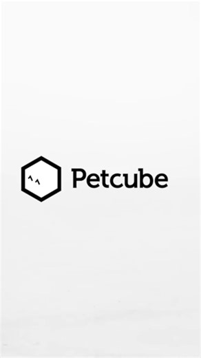 Petcube Ph on TikTok