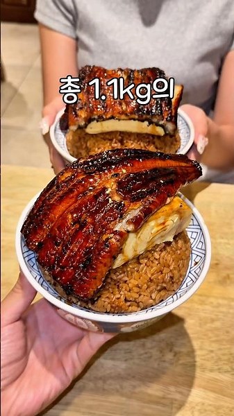 What Happens When You Order Eel Rice Bowl in Osaka