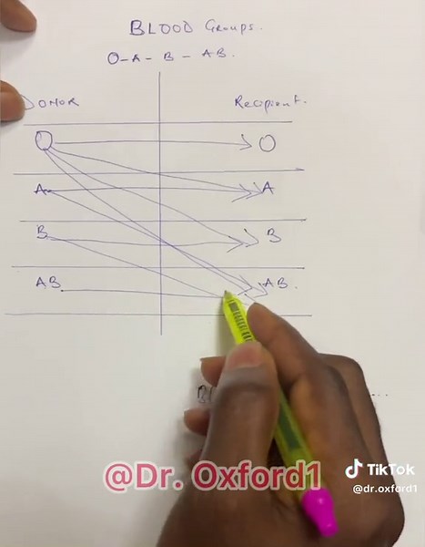 Blood Group AB Characteristics and Compatibility Explained