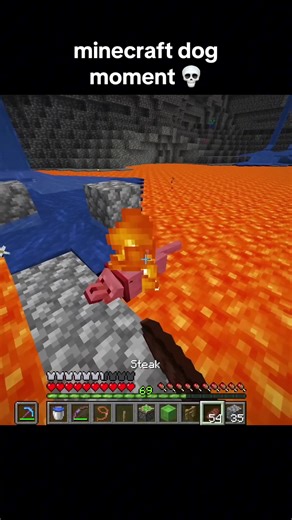 Minecraft Dog Moment: Enjoy the Goofy Fun