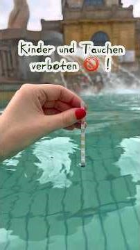 Why aren't we allowed to dive 😳?!