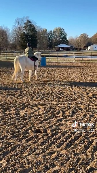 allison.c99 (@allison.c99)’s videos with Shut up and Drive - ○■○