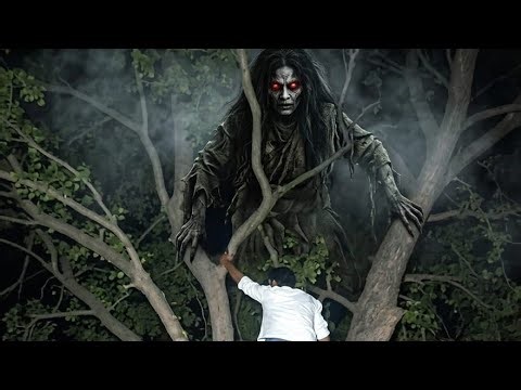 रात के 12:00 पेड़ पर किसी का साया दिख#livestream#livevideo