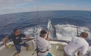 与死神擦肩而过，极度危险的那些瞬间 #100