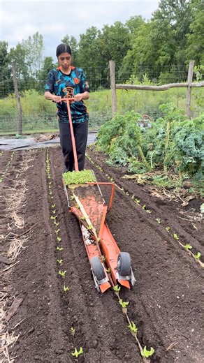 Here Kimberly helps me use the @nitten_paperpot_japan transplanter to quickly set lettuce in the ground. We’re transplanting up a storm these days, getting fall crops while they still have time to grow. #leanfarming #claybottomfarm #gardeningwithoutplastic #microfarming #marketgardening | Clay Bottom Farm