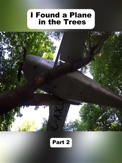 I Found a Plane in the Trees! - p2 #exploring #abandoned #history #woods #fypp #usa