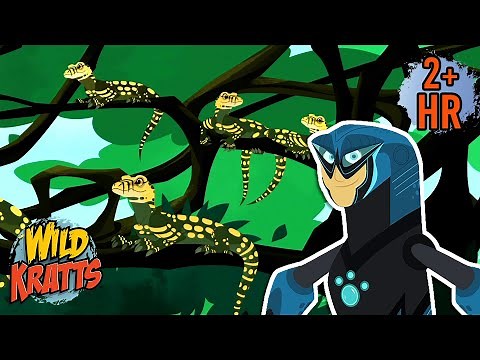 Hanging Out with Baby Komodo Dragons | Activate Creature Powers | Wild Kratts