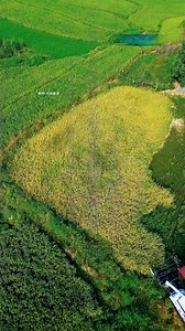 17K views · 120 reactions | Grain prices down, costs rising—where’s farming headed #HarvestSeason #FarmLife | Gathering Place | Facebook