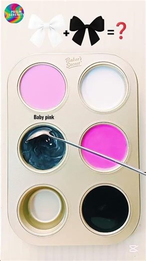 🎨 Color Palette / Titanium White + Vivid Pink + Jet Black | Neon Noir Blush#colormixing#colormix