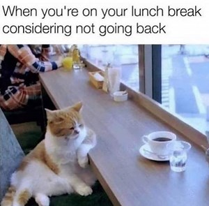 I could set the building on fire